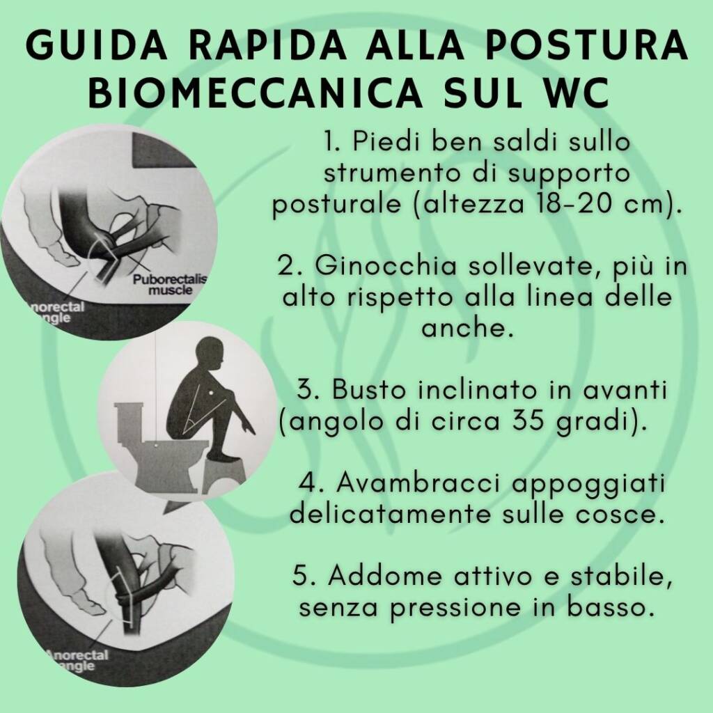 la posizione corretta per favorire il pavimento pelvico nell'evacuazione